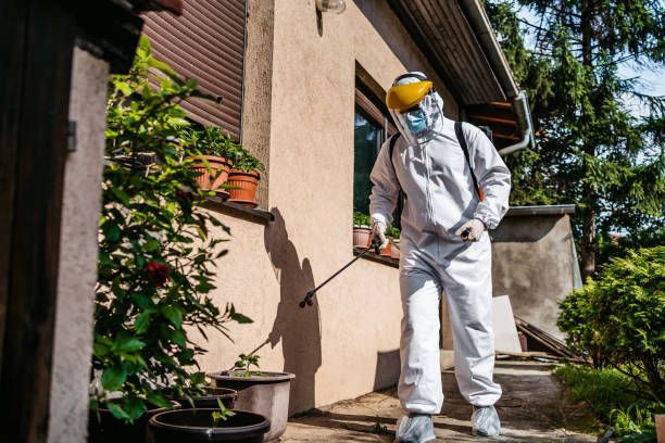 Best Exterminator Services  in Delphos, OH