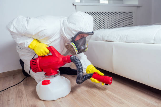 Best Pest Removal Services  in Delphos, OH