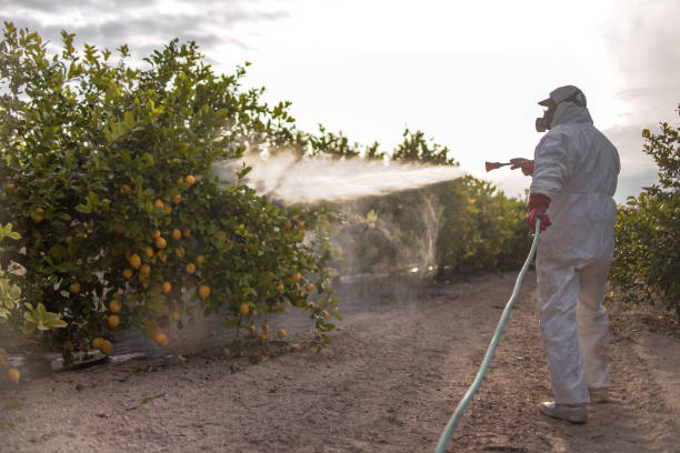 Best Pest Control Near Me in Delphos, OH