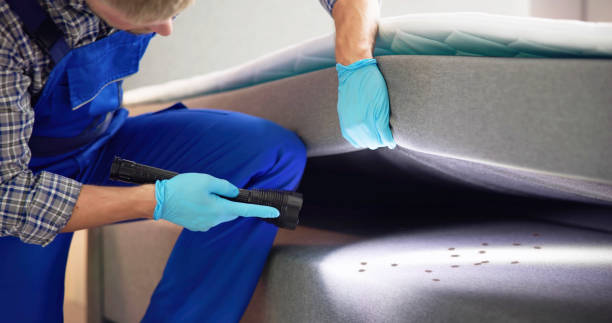 Best Best Pest Control Near Me  in Delphos, OH