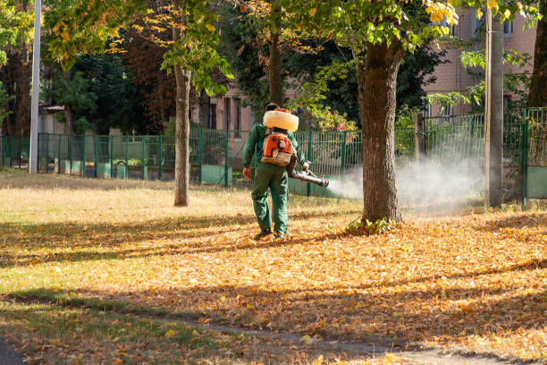 Professional Pest Control in Delphos, OH