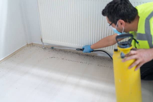 Best Local Pest Control Services  in Delphos, OH